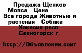 Продажа Щенков Мопса › Цена ­ 18 000 - Все города Животные и растения » Собаки   . Хакасия респ.,Саяногорск г.